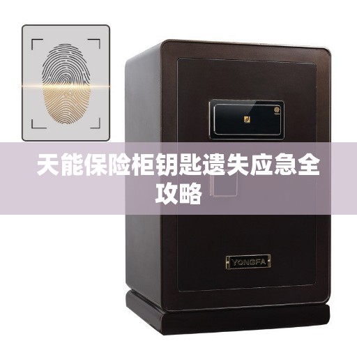 天能保险柜钥匙遗失应急全攻略