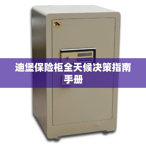 迪堡保险柜全天候决策指南手册