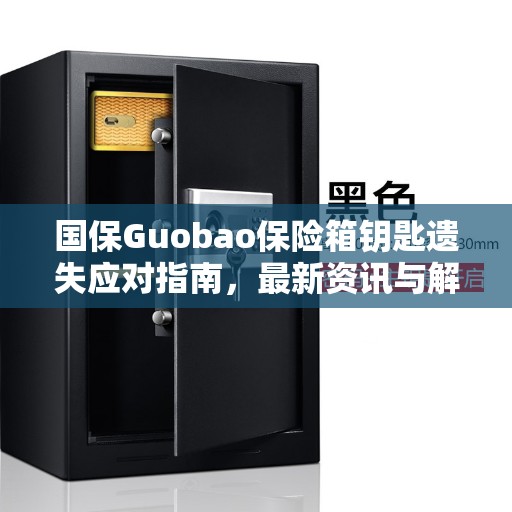 国保Guobao保险箱钥匙遗失应对指南，最新资讯与解决方案