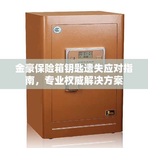 金豪保险箱钥匙遗失应对指南，专业权威解决方案