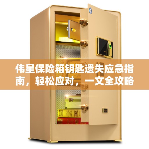 伟星保险箱钥匙遗失应急指南，轻松应对，一文全攻略