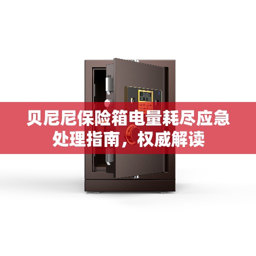 贝尼尼保险箱电量耗尽应急处理指南，权威解读