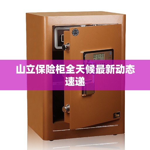 山立保险柜全天候最新动态速递