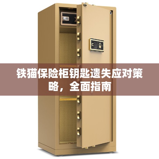 铁猫保险柜钥匙遗失应对策略，全面指南