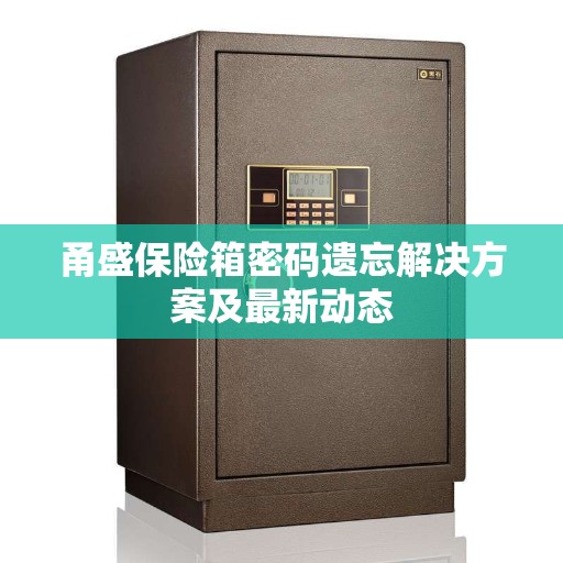 甬盛保险箱密码遗忘解决方案及最新动态