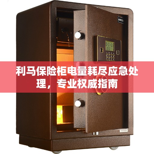 利马保险柜电量耗尽应急处理，专业权威指南