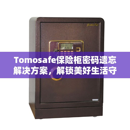 Tomosafe保险柜密码遗忘解决方案，解锁美好生活守护者