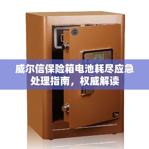 威尔信保险箱电池耗尽应急处理指南,权威解读 威尔信保险箱电池耗尽应急处理指南,权威解读