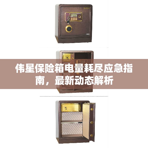 伟星保险箱电量耗尽应急指南，最新动态解析