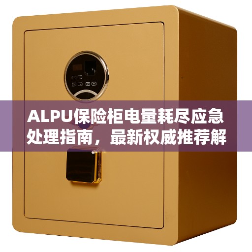 ALPU保险柜电量耗尽应急处理指南，最新权威推荐解决方案