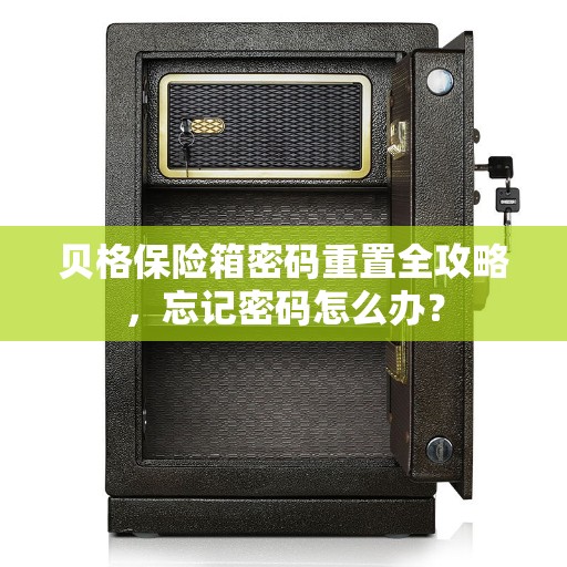 贝格保险箱密码重置全攻略，忘记密码怎么办？