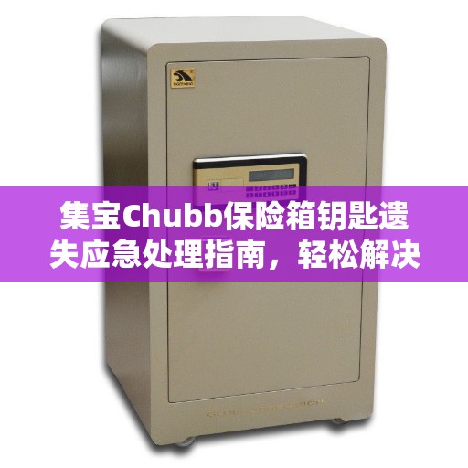 集宝Chubb保险箱钥匙遗失应急处理指南,轻松解决钥匙丢失问题 集宝Chubb保险箱钥匙遗失应急处理指南,轻松解决钥匙丢失问题