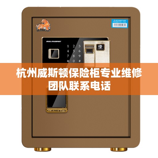 杭州威斯顿保险柜专业维修团队联系电话