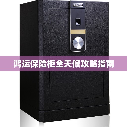 鸿运保险柜全天候攻略指南