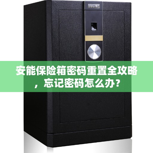 安能保险箱密码重置全攻略，忘记密码怎么办？