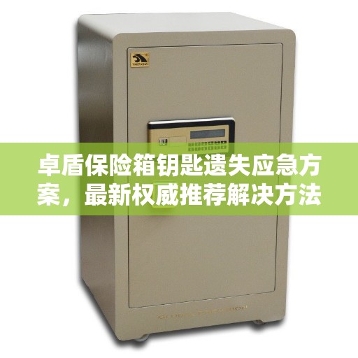 卓盾保险箱钥匙遗失应急方案，最新权威推荐解决方法