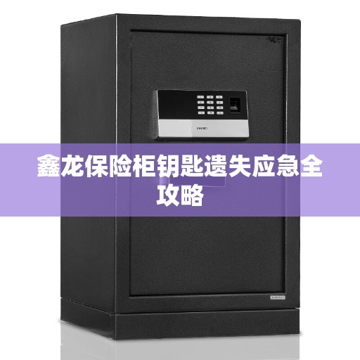 鑫龙保险柜钥匙遗失应急全攻略