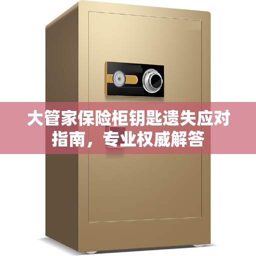 大管家保险柜钥匙遗失应对指南，专业权威解答