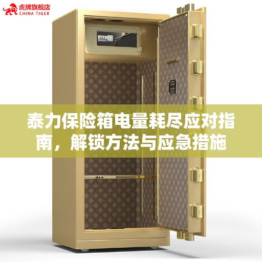 泰力保险箱电量耗尽应对指南，解锁方法与应急措施