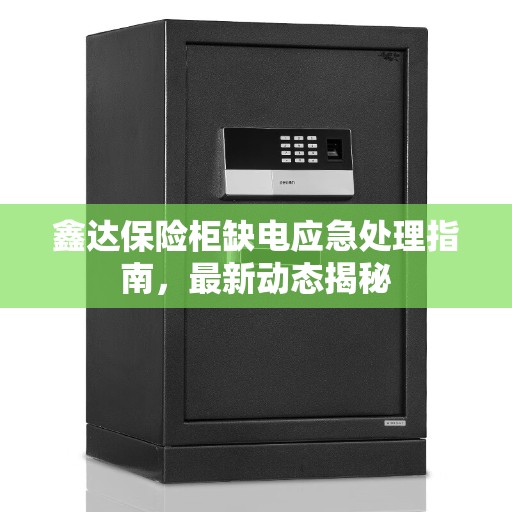鑫达保险柜缺电应急处理指南，最新动态揭秘