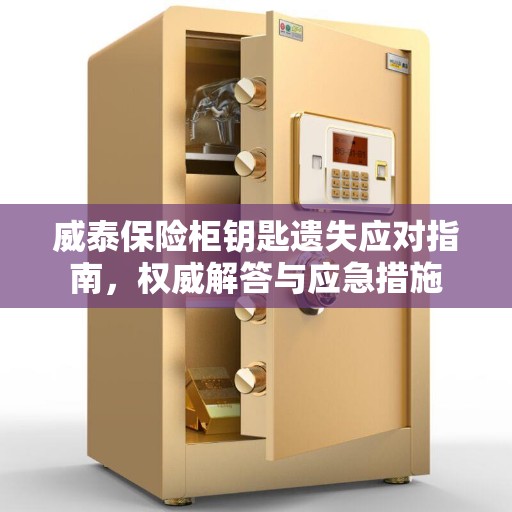 威泰保险柜钥匙遗失应对指南，权威解答与应急措施
