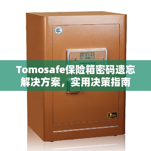 Tomosafe保险箱密码遗忘解决方案，实用决策指南