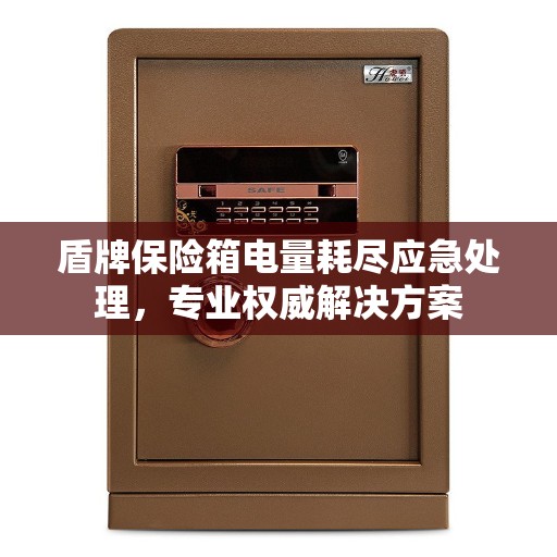 盾牌保险箱电量耗尽应急处理，专业权威解决方案