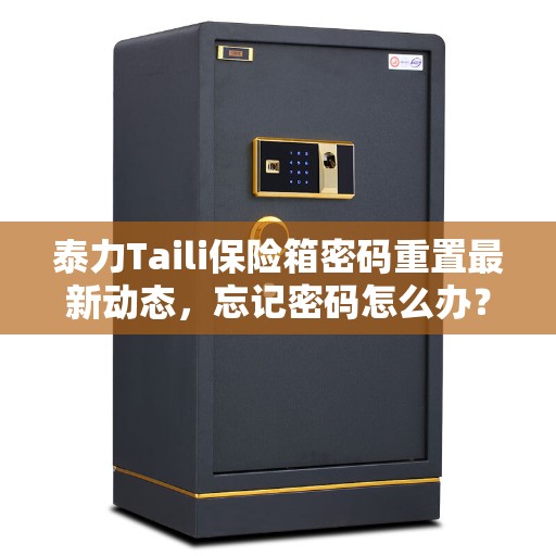 泰力Taili保险箱密码重置最新动态，忘记密码怎么办？