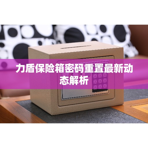 力盾保险箱密码重置最新动态解析