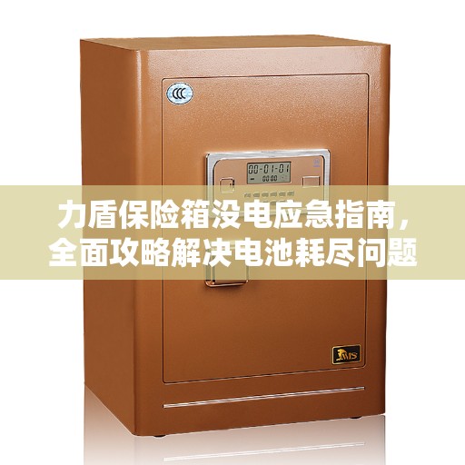 力盾保险箱没电应急指南，全面攻略解决电池耗尽问题