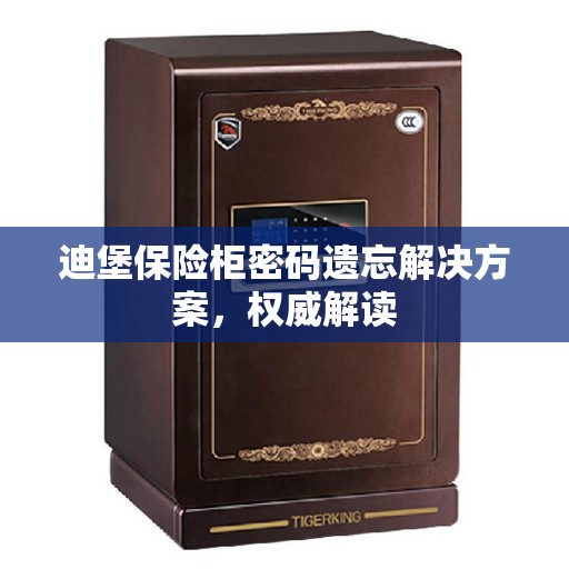迪堡保险柜密码遗忘解决方案，权威解读