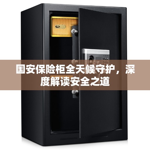 国安保险柜全天候守护,深度解读安全之道 国安保险柜全天候守护,深度解读安全之道