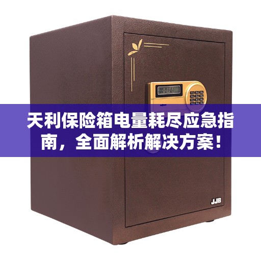 天利保险箱电量耗尽应急指南，全面解析解决方案！