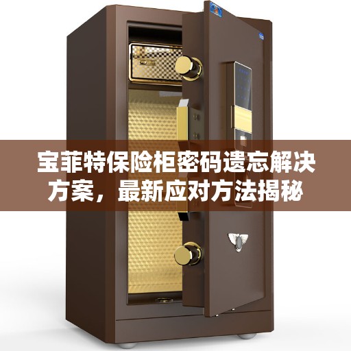 宝菲特保险柜密码遗忘解决方案，最新应对方法揭秘