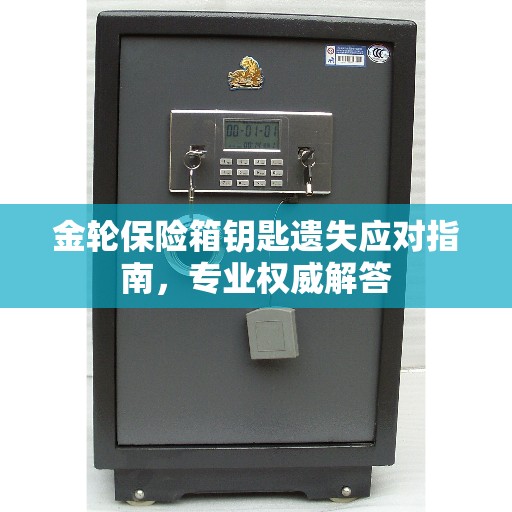 金轮保险箱钥匙遗失应对指南，专业权威解答