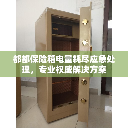都都保险箱电量耗尽应急处理，专业权威解决方案