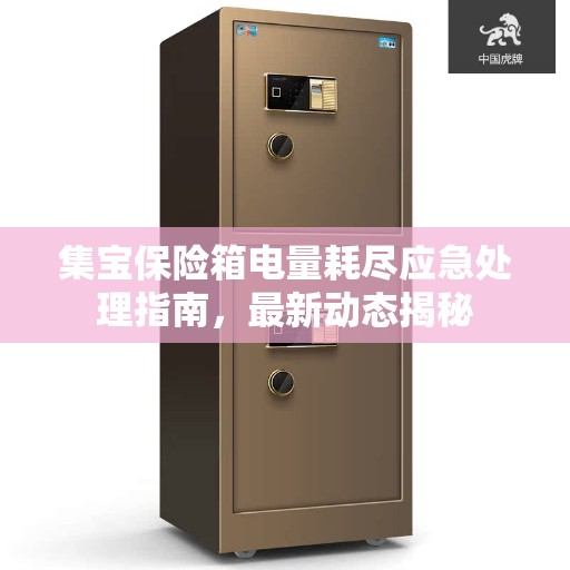集宝保险箱电量耗尽应急处理指南，最新动态揭秘