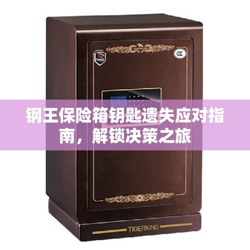 钢王保险箱钥匙遗失应对指南，解锁决策之旅