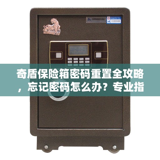 奇盾保险箱密码重置全攻略，忘记密码怎么办？专业指南助你轻松解决！