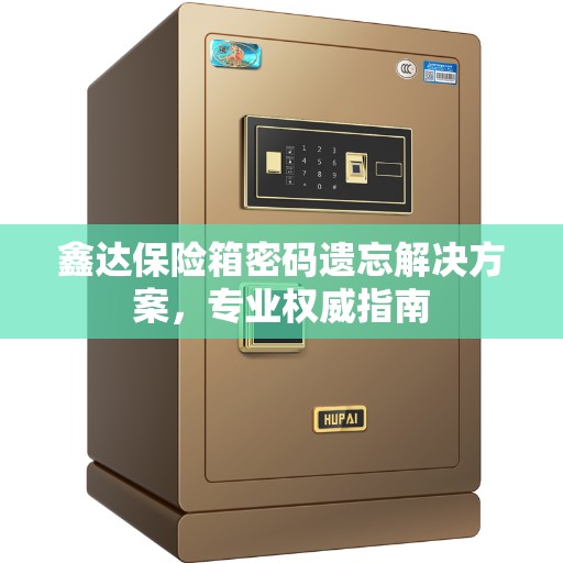 鑫达保险箱密码遗忘解决方案，专业权威指南