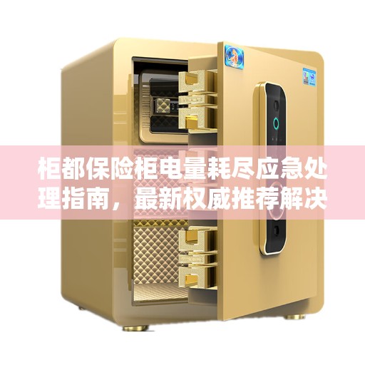 柜都保险柜电量耗尽应急处理指南，最新权威推荐解决方案