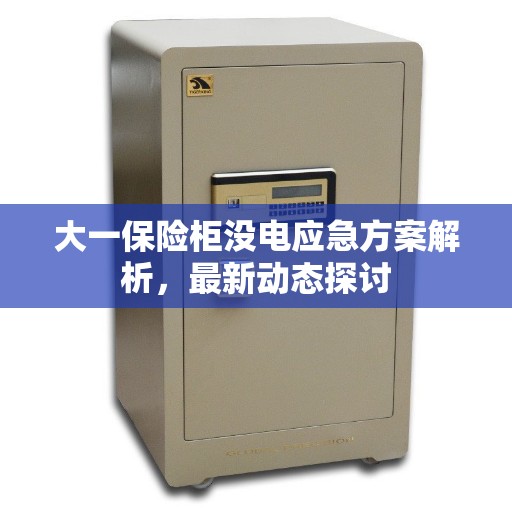 大一保险柜没电应急方案解析，最新动态探讨
