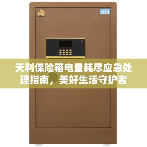 天利保险箱电量耗尽应急处理指南，美好生活守护者