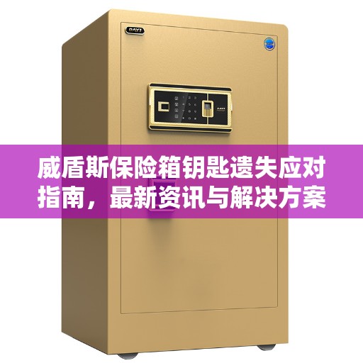 威盾斯保险箱钥匙遗失应对指南，最新资讯与解决方案