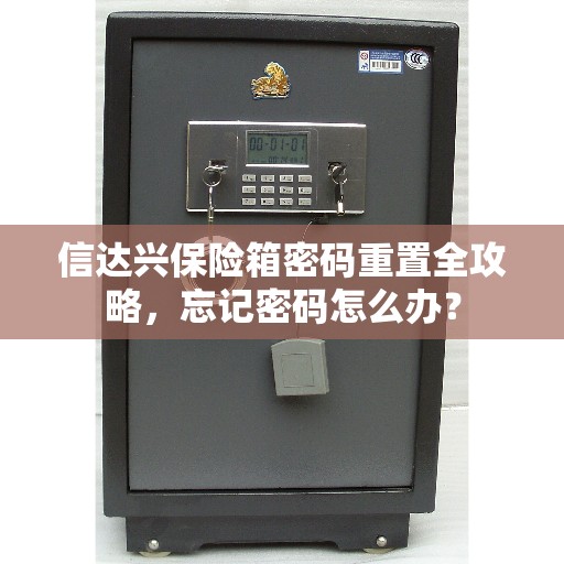 信达兴保险箱密码重置全攻略，忘记密码怎么办？