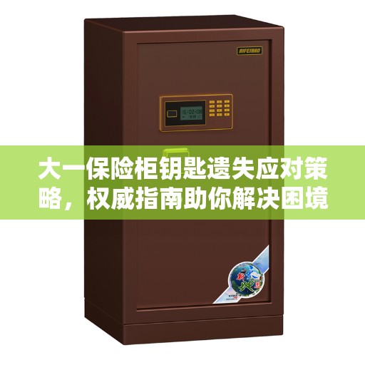 大一保险柜钥匙遗失应对策略，权威指南助你解决困境