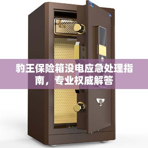 豹王保险箱没电应急处理指南，专业权威解答