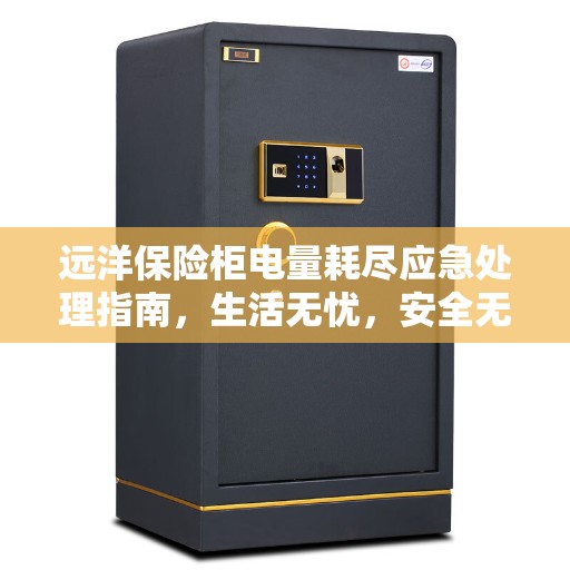 远洋保险柜电量耗尽应急处理指南，生活无忧，安全无忧