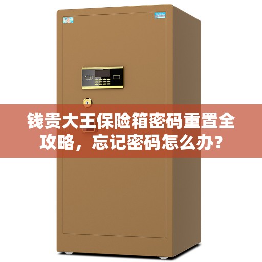 钱贵大王保险箱密码重置全攻略，忘记密码怎么办？