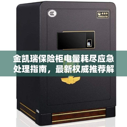 金凯瑞保险柜电量耗尽应急处理指南，最新权威推荐解决方案